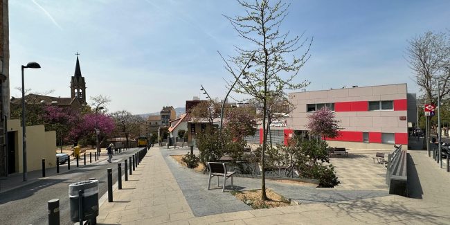 Iglesia Mayor (11-4-24) Marta (4)