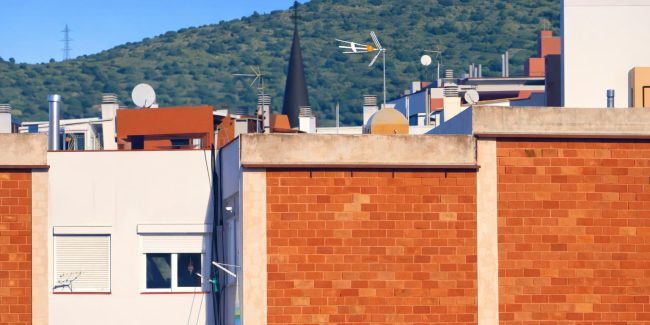 WhatsApp Image 2026-01-09 at 16.47.44