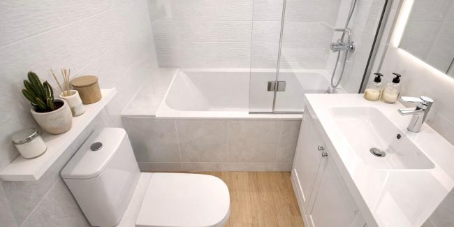 WhatsApp Image 2026-02-02 at 11.05.16