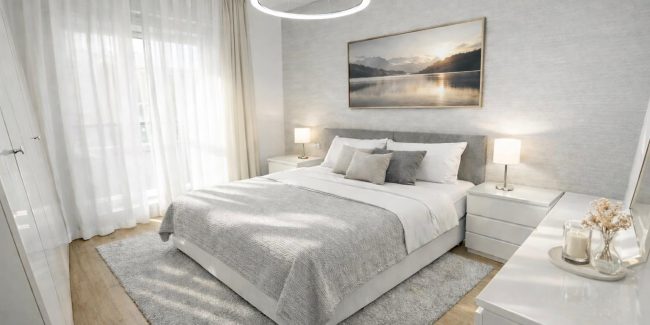 WhatsApp Image 2026-02-11 at 13.43.35