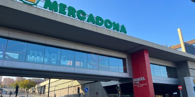 WhatsApp Image 2026-03-13 at 17.12.04