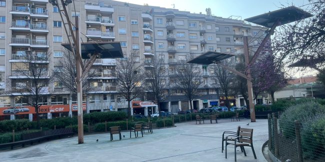 WhatsApp Image 2026-03-13 at 17.12.05 (3)