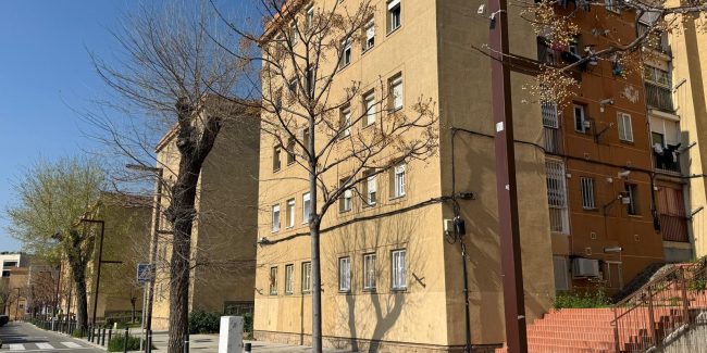 WhatsApp Image 2026-03-24 at 11.50.14 (3)