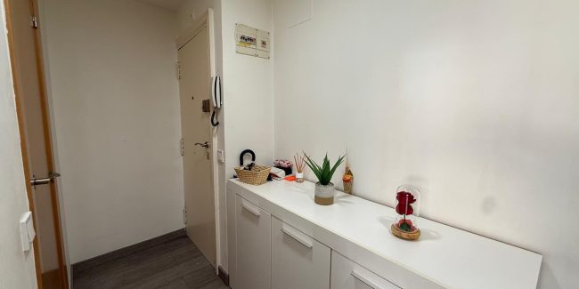 WhatsApp Image 2026-03-24 at 11.50.17 (3)