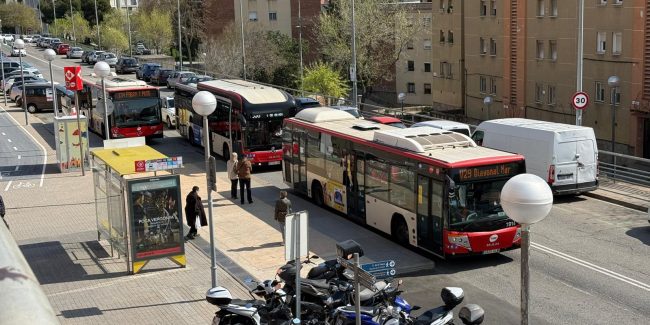 WhatsApp Image 2026-03-24 at 11.50.18 (2)